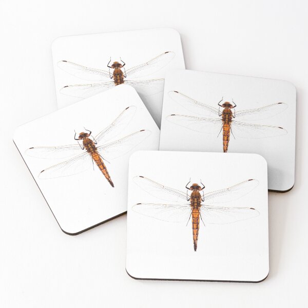 Item preview, Black-tailed skimmer dragon fly (Orthetrum cancellatum, female) designed and sold by Tim Christensen.