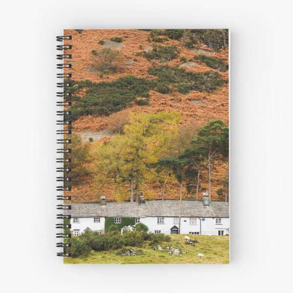 Item preview, Terraced Houses, Cat Bank, Coniston designed and sold by heidipics.