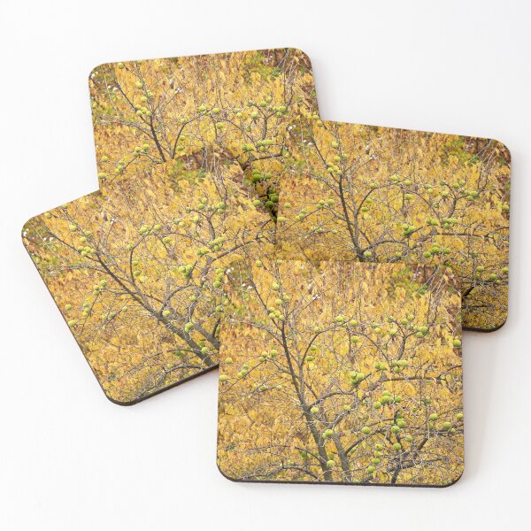 Item preview, Maclura pomifera treetop autumn season designed and sold by goceris.