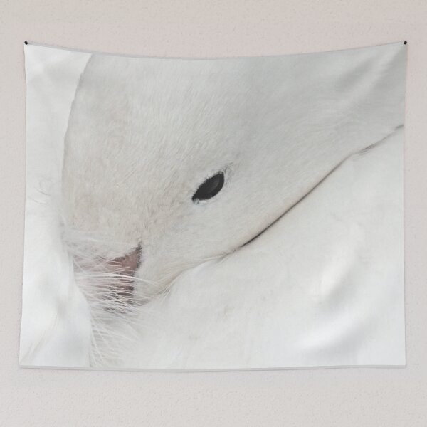 Item preview, Tucked Duck designed and sold by Yampimon.