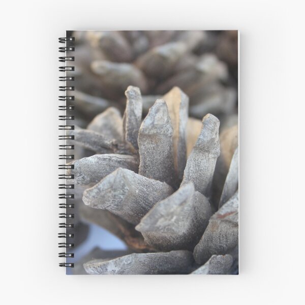 Item preview, Beautiful Pine Cones Close Up Nature Photography designed and sold by taiche.