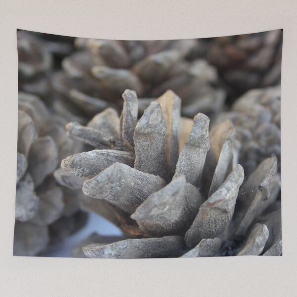 Item preview, Beautiful Pine Cones Close Up Nature Photography designed and sold by taiche.