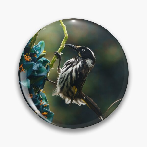 Item preview, New Holland Honeyeater with Puya flowers designed and sold by theleastone.