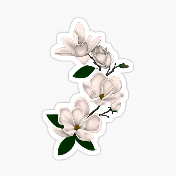 Magnolias Sticker