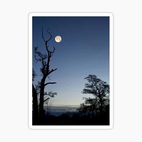 Item preview, Evening Moon designed and sold by mhfore.