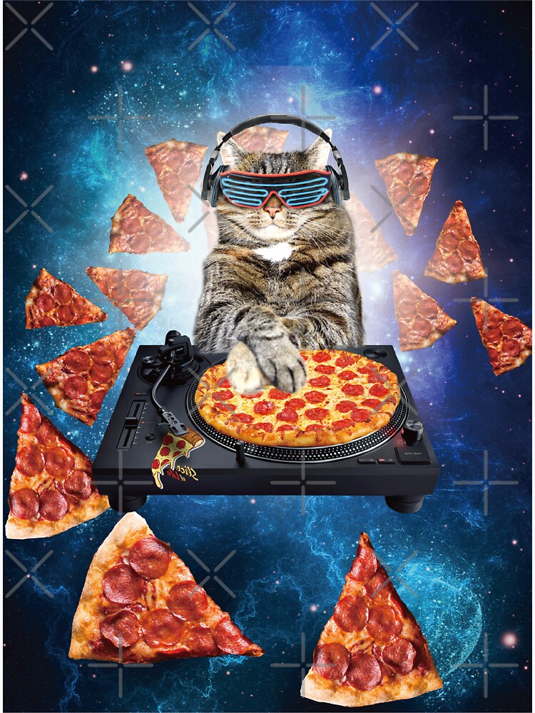 Galaxy Cat Pizza DJ Sticker Space Cat Sticker Funny Sticker 