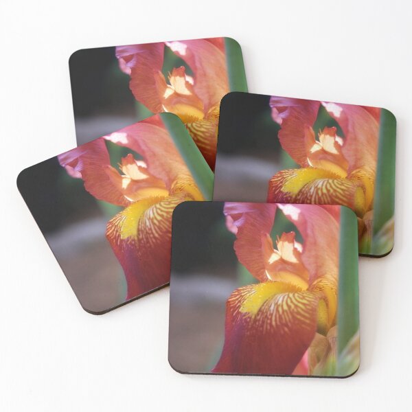 Item preview, Iris flower designed and sold by Lee's Place.