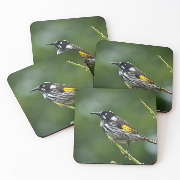 Item preview, New Holland Honeyeater on flower spike designed and sold by theleastone.