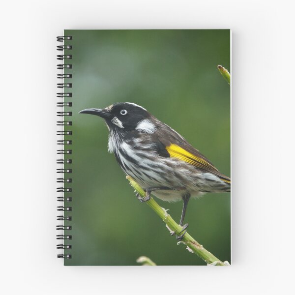 Item preview, New Holland Honeyeater en espiga de flores designed and sold by theleastone.