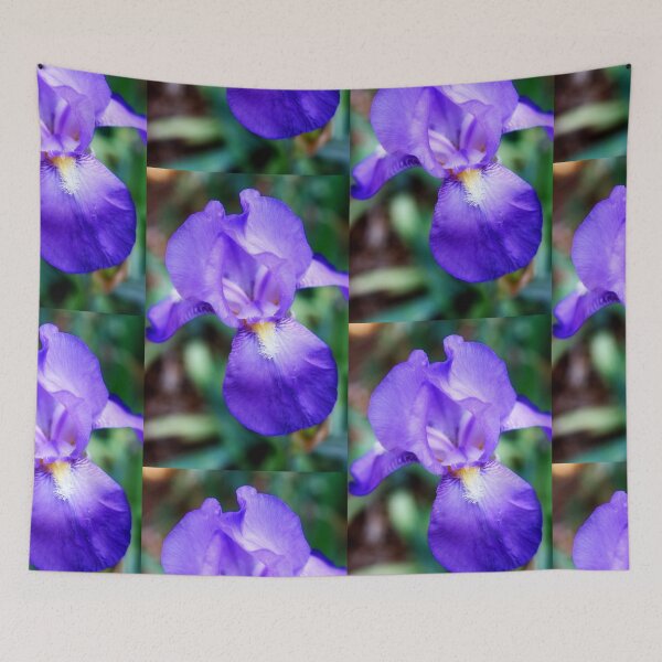 Item preview, Iris flower designed and sold by Lee's Place.