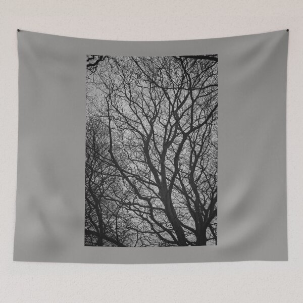 Item preview, Naked Tree designed and sold by Rob Cole Photography.