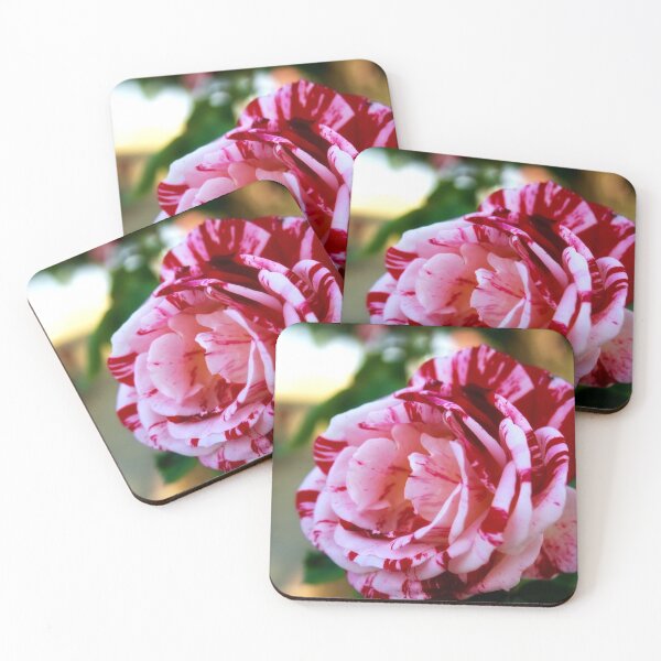 Item preview, Striped rose designed and sold by Lee's Place.