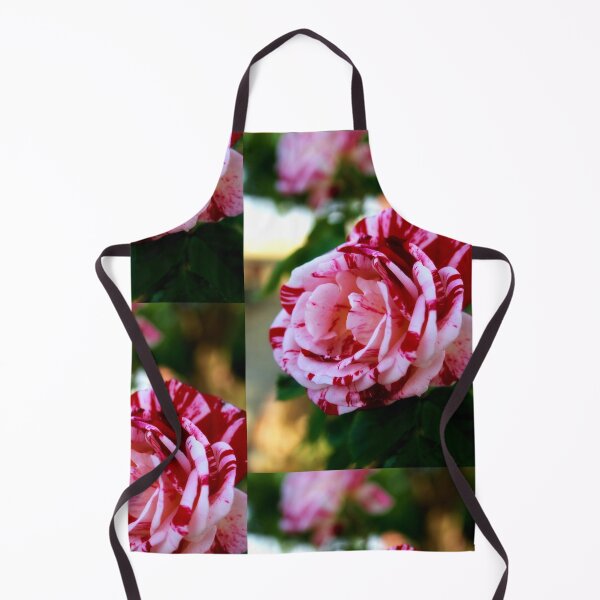 Item preview, Striped rose designed and sold by Lee's Place.