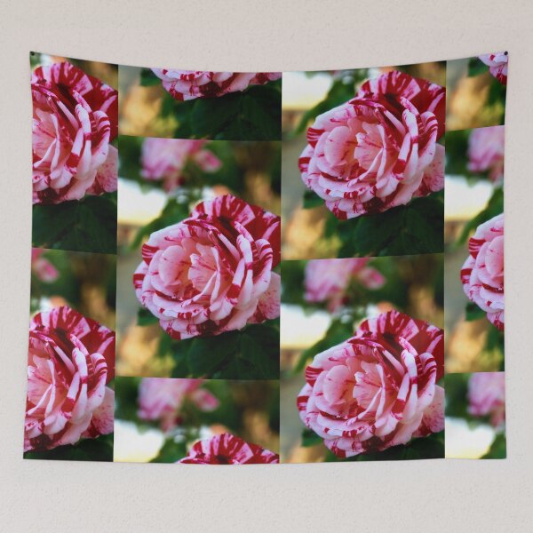 Item preview, Striped rose designed and sold by Lee's Place.