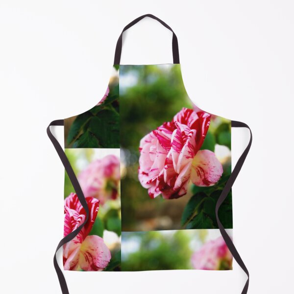 Item preview, Striped rose designed and sold by Lee's Place.