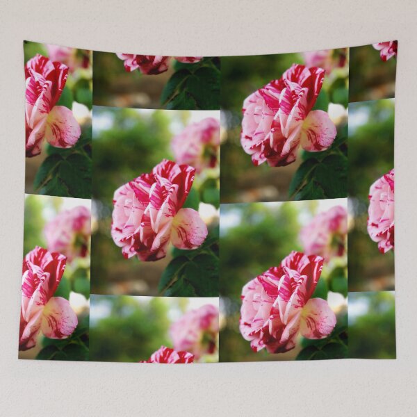 Item preview, Striped rose designed and sold by Lee's Place.