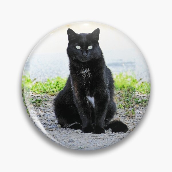 Item preview, r 2540/  9  Chat-Cat  " Diane, la belle Chatte de la rue "  finition 2020 par Okaio Créations - Olavia&Olao  designed and sold by o.okaïo.