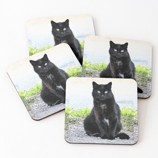 Item preview, r 2540/  9  Chat-Cat  " Diane, la belle Chatte de la rue "  finition 2020 par Okaio Créations - Olavia&Olao  designed and sold by o.okaïo.