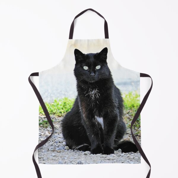 Aperçu de l'œuvre r 2540/ 9 Chat-Cat " Diane, la belle Chatte de la rue " finition 2020 par Okaio Créations - Olavia&Olao créée et vendue par o.okaïo.