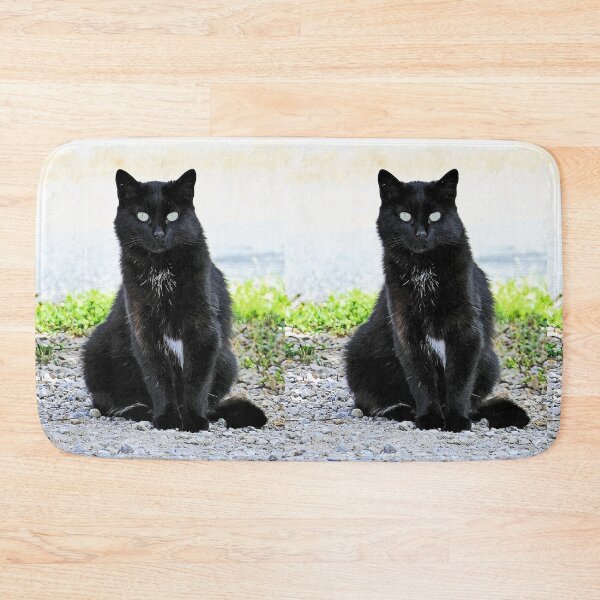 Item preview, r 2540/  9  Chat-Cat  " Diane, la belle Chatte de la rue "  finition 2020 par Okaio Créations - Olavia&Olao  designed and sold by o.okaïo.