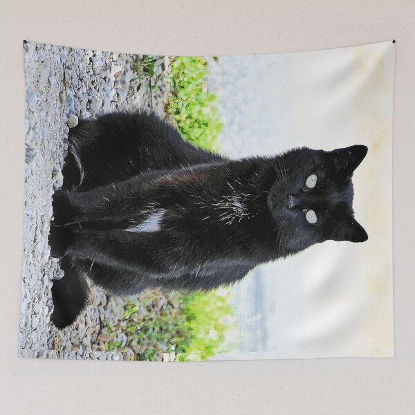 Item preview, r 2540/  9  Chat-Cat  " Diane, la belle Chatte de la rue "  finition 2020 par Okaio Créations - Olavia&Olao  designed and sold by o.okaïo.