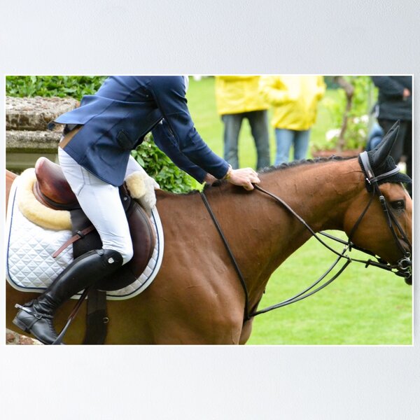Item preview, Equestrian designed and sold by asmodeuss.