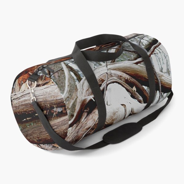 Item preview, twisted roots, color photo designed and sold by dnparker.