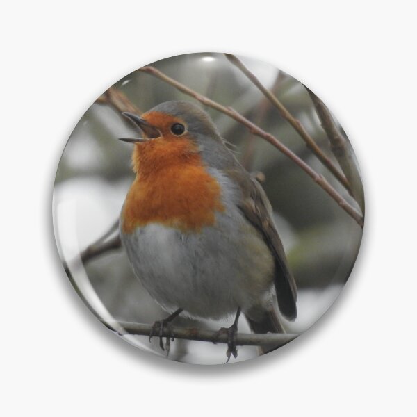 Item preview, Singing robin so cute designed and sold by Gaynor-dI.