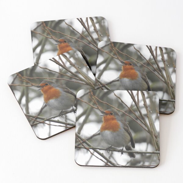 Item preview, Singing robin so cute designed and sold by Gaynor-dI.