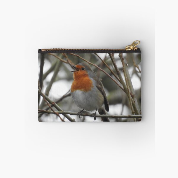 Item preview, Singing robin so cute designed and sold by Gaynor-dI.
