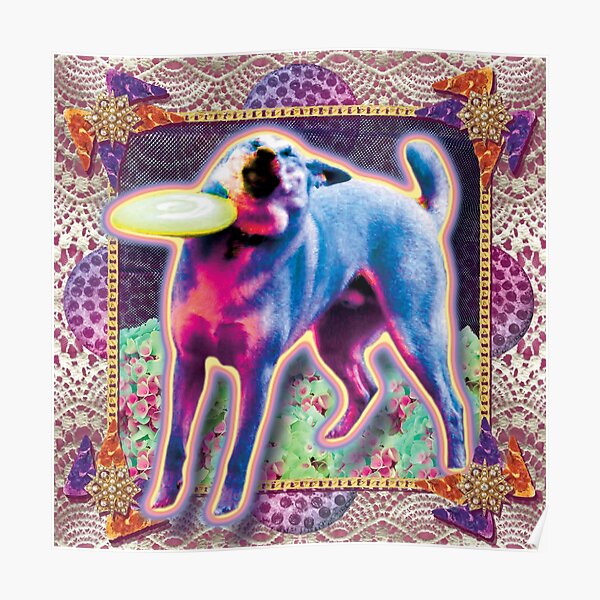 meme doggo with frisbee Poster