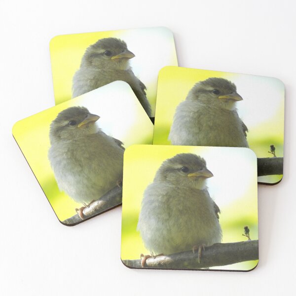 Item preview, Fluffy fledgeling sparrow designed and sold by Gaynor-dI.