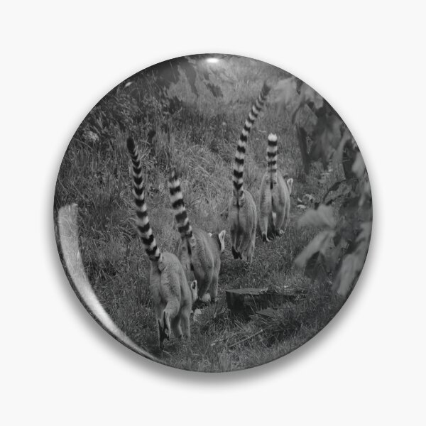 Item preview, Black and White lemurs designed and sold by Natasha Greene.
