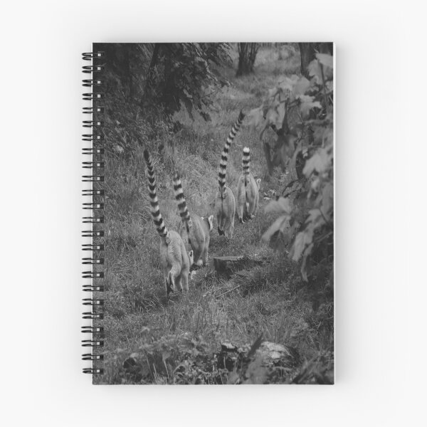 Item preview, Black and White lemurs designed and sold by Natasha Greene.