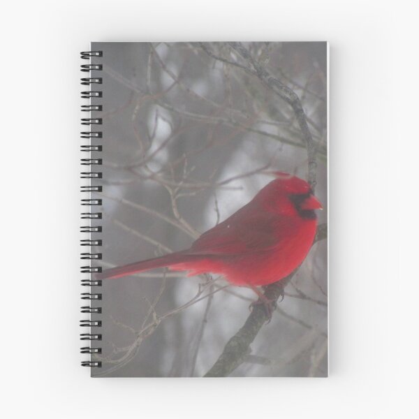 Item preview,  Me di cuenta de este cardenal posado en una rama cerca de uno de los comederos. Se sentó allí tranquilamente a pesar de ser golpeado por la tormenta de nieve que caía del cielo.

Me encanta el contraste de su color contra las ramas y la nieve.

Tomad designed and sold by Mary-Elizabeth Hain.