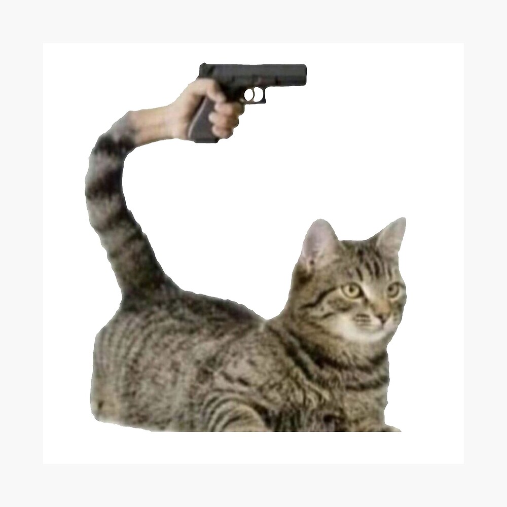 Cat With Gun Meme | atelier-yuwa.ciao.jp