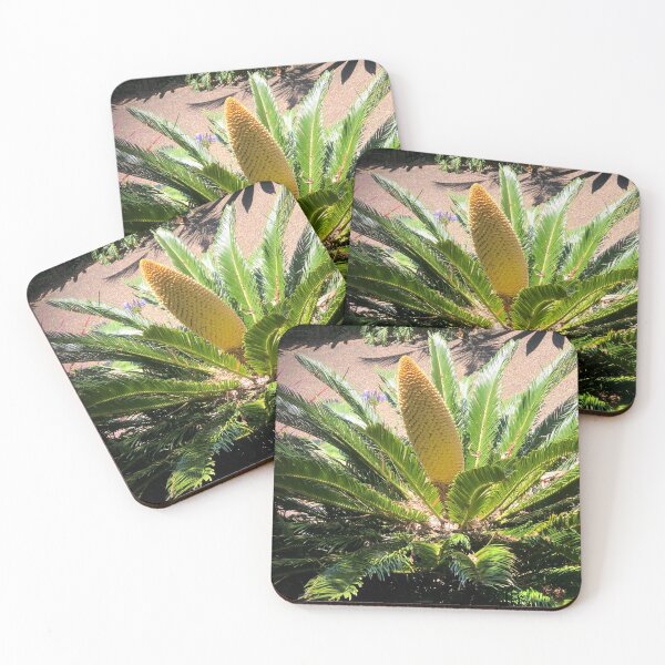 Item preview, Super Spike in Cycad Center designed and sold by KazM.