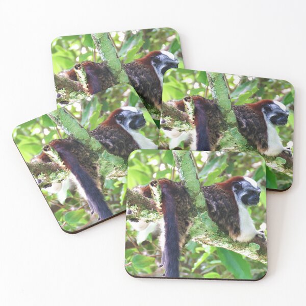 Item preview, Monkey in Tree - Boquete, Panama designed and sold by julyperson.