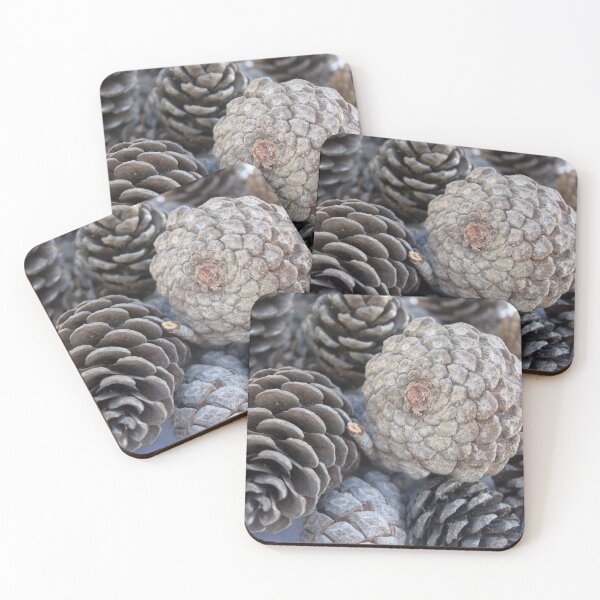 Item preview, Mediterranean Pine Pinecones Photograph designed and sold by taiche.