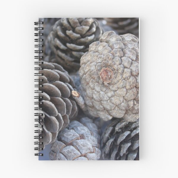 Item preview, Mediterranean Pine Pinecones Photograph designed and sold by taiche.