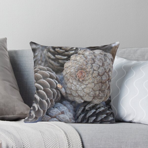Item preview, Mediterranean Pine Pinecones Photograph designed and sold by taiche.