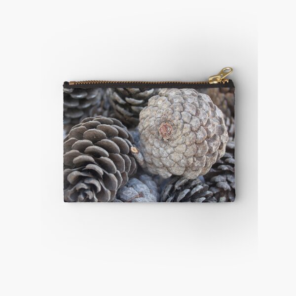 Item preview, Mediterranean Pine Pinecones Photograph designed and sold by taiche.