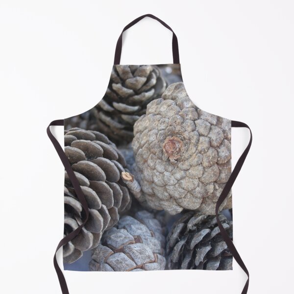 Item preview, Mediterranean Pine Pinecones Photograph designed and sold by taiche.