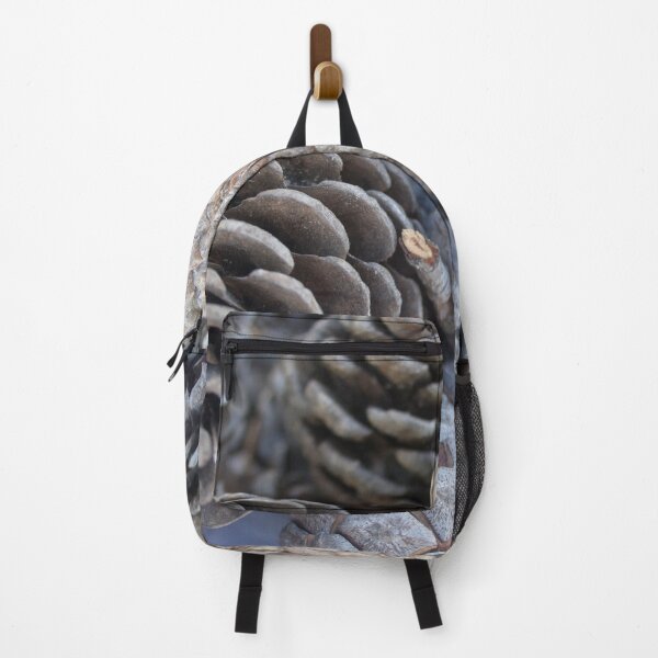 Item preview, Mediterranean Pine Pinecones Photograph designed and sold by taiche.