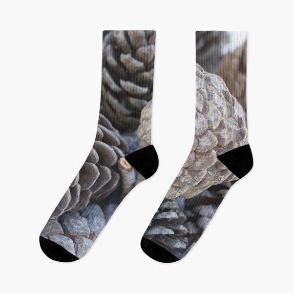 Item preview, Mediterranean Pine Pinecones Photograph designed and sold by taiche.
