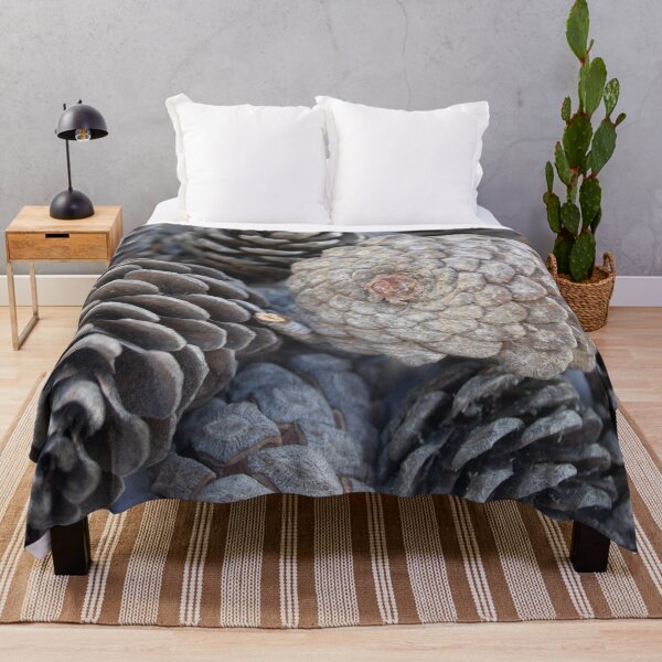 Item preview, Mediterranean Pine Pinecones Photograph designed and sold by taiche.