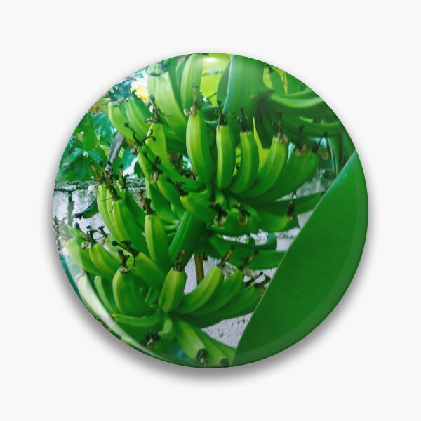 Item preview, Plantain designed and sold by gloriasd14.