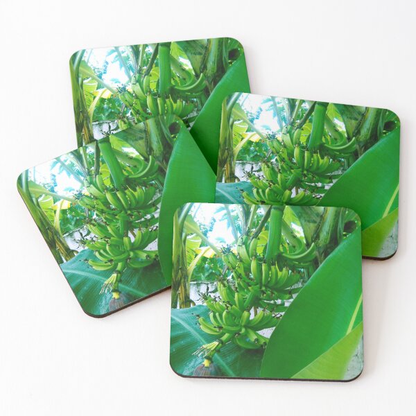 Item preview, Plantain designed and sold by gloriasd14.