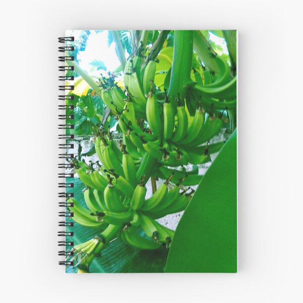 Item preview, Plantain designed and sold by gloriasd14.