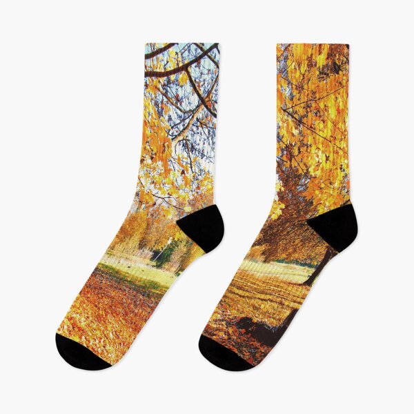Artikelvorschau, Foto Druck mit Naturdesign Später Herbsttag entworfen und verkauft von Zuepfelmuetzen.